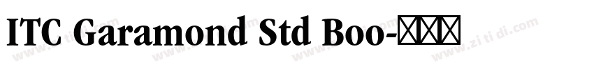 ITC Garamond Std Boo字体转换